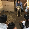 トトロ小屋の中の小屋。