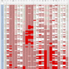 新型コロナウイルス、国別・人口あたり新規感染者数（12月15日現在） /  COVID-19 cases per population by country, as of December 15, 2021