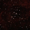 「散開星団NGC2244(バラ星雲)」の撮影　2024年2月8日(機材：ZWO Seestar S50)