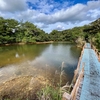 辺土名湖（沖縄県国頭）