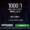 【投資家必見】レバレッジの本質【初心者】