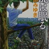 サイキックミステリーでも読んでみませんか？『龍は眠る』を紹介する【宮部みゆき】