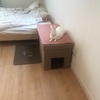 似ている芸能人
