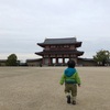 【古都奈良】平城京で古の風を感じてみた【はてなスマホ写真部『イイね〜と思えた瞬間の写真』】