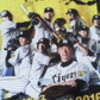 2016 甲子園オープン戦