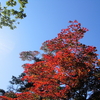 霧島連山より