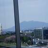八角