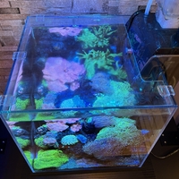 ADA ガラス水槽 30cm LED照明付き 外部フィルター 海水30cmハイ水槽の蓋作成 - 淡水海水30cm生活