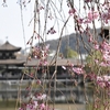 平安の雅を今に伝える平安神宮の見所は？ (Kyoto, Heianjingu)