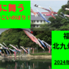 2024年（令和6年）大型連休　福岡県北九州市紫川で雄大に泳ぐ600匹のこいのぼり