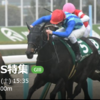 2/18（土）　京都牝馬S　予想と結果 