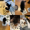 2024/12/28の夕ごはん