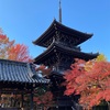 真如堂の紅葉　🍁年に一度のご開帳の日🍁