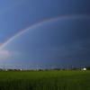 雨の贈りもの