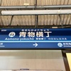 空港の隣地に咲く蓮の花