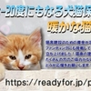 しっぽの会さん『暖かな猫舎建設』のクラウドファンディング