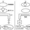 量子コンピュータの基本素子・量子ビットのハードウェア実装（シリコン編その３～データの初期化と読み出し～） 