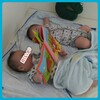 双子の7ヶ月児健診