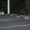 （日高）　お礼参り　（173日目）