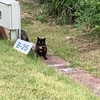 オートキャンプ1泊2日 inモビレージ東条湖