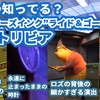 ミッキーマウスの憂鬱 ディズニーランドの裏側を描いた小説を紹介 あらすじ ネタバレ ナヤのディズニー ピクサーブログ