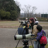 冬の野鳥観察会2010