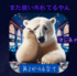 １２３鶴橋 ジャグラー ブドウ調査