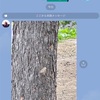 息子から来たLINE