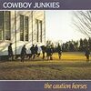 入院中、点滴グロブリンの前にCowboy Junkies「The Caution Horses」を聴きながらお散歩！
