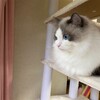 朝の甘噛み