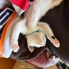 成長って嬉しいね。