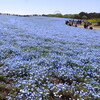 またまた茨城県の観光です