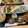 農家れすとらん 葉菜の舎：碧南までドライブしてランチ