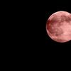 ミラクルtakaの「今ここマヤ暦セッション」今日は、キン209赤い月音1の日。