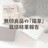 無印良品の「猫草」栽培結果報告