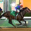 【悲報】新種牡馬パンサラッサ、種付け頭数わずか54頭