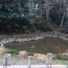 鷲宮神社七不思議⑥池に龍神様が住んでいる？