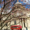 St Paul's Cathedral