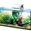 スリムな美しさ！テトラ オールグラスアクアリウム GA-600Fで始める、スタイリッシュ熱帯魚ライフ