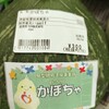 ダイキ産直市へ出荷！お盆迄に完売！