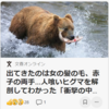 【全国的に頻発するクマ被害について……11／25－27　牛65頭を襲った恐るべき”怪物ヒグマ”「OSO18」】＃318