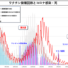 ワクチン接種による感染のピークは7月15日から7月20日ごろのようです