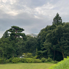 早朝ウォーキング！
