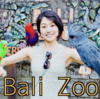 バリの動物園ではしゃいできました