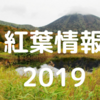 【紅葉2019】城ヶ倉大橋と酸ヶ湯や地獄沼はこれから!睡蓮沼が見ごろ