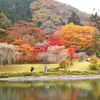 古峯神社の神苑「古峯園」の紅葉を撮る