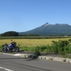 背が高いトウモロコシ🌽も目立つな〜