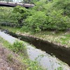 5月6日(水)秩父フライフィールドの河川情報