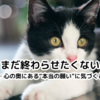 第８章：「この恋をあきらめたくない──０学で読み解く“本当の絆”のつくり方」