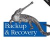 Backup & Recovery: Inexpensive Backup Solutions for Open Systems pdf free